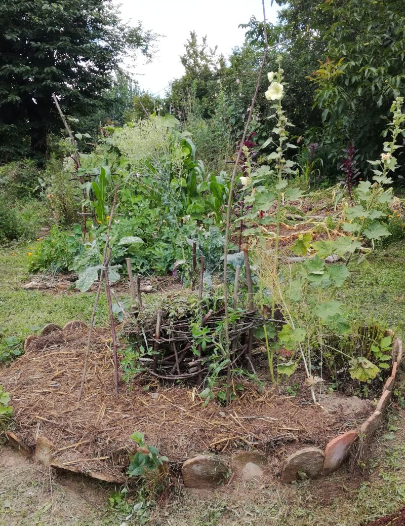 Keyhole garden at Bogata Suma